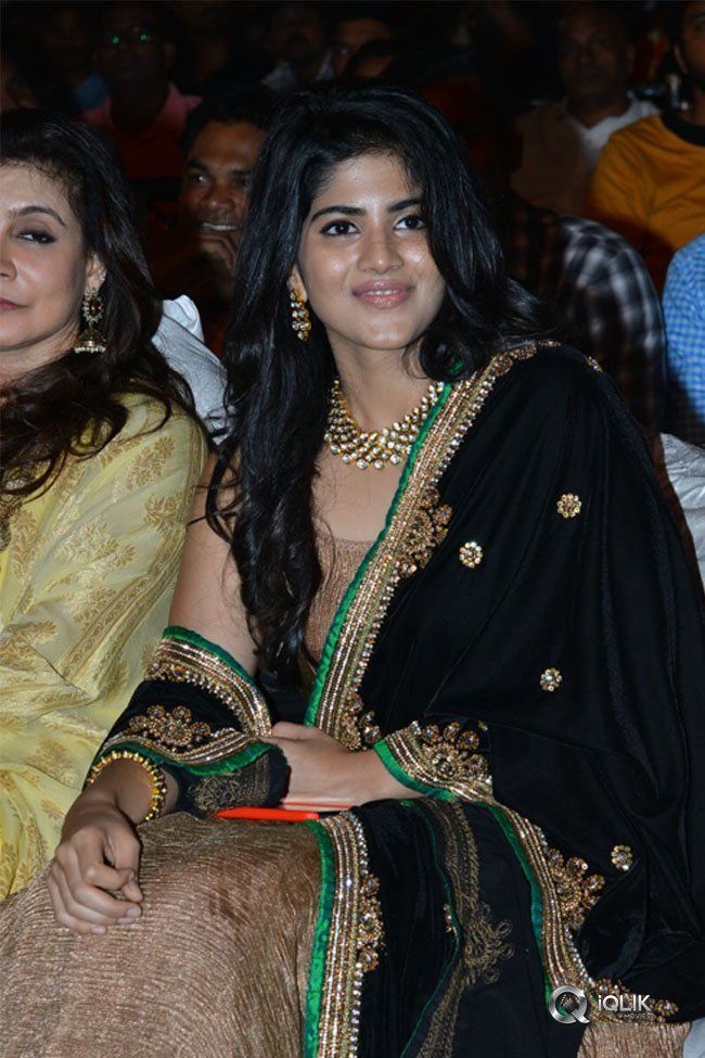 Chal-Mohan-Ranga-Pre-Release-Function-Photos